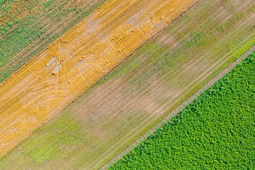 aerial top down drone perspective of paddy fields displaying a rich tapestry of colors and textures. photo