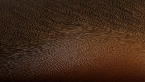 Textured close up of fur highlighting its smoothness and varying tones in natural light on a warm background during daylight hours photo