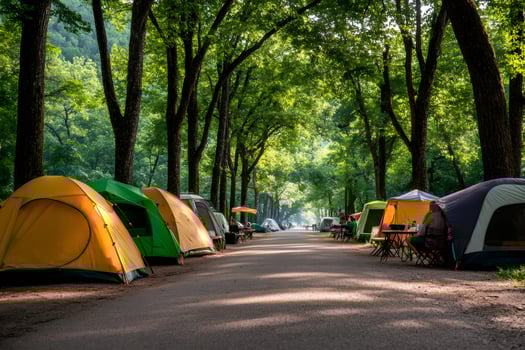 Campers enjoying camping in a tree-lined campsite photo