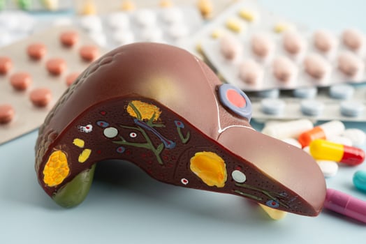Liver model with pill drug photo