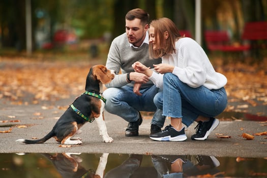 Sitting, playing ,with ,animal. Lovely couple are with their cute dog outdoors photo