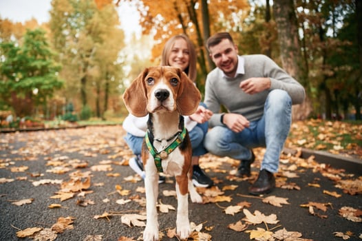 Focused, portrait, of pet. Lovely couple are with their cute dog outdoors photo