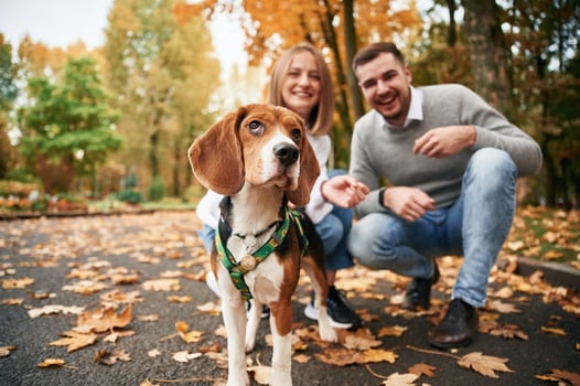 Focused portrait of pet. Lovely couple, are, with their cute dog outdoors photo