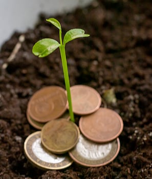 sprouted trough the different metal coins green shoot. Concept photo
