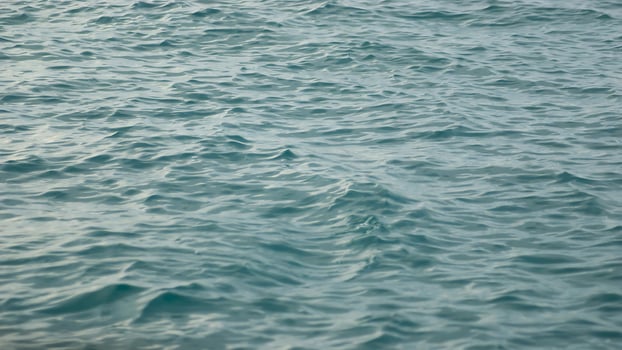 A person is standing on the water with a surfboard photo