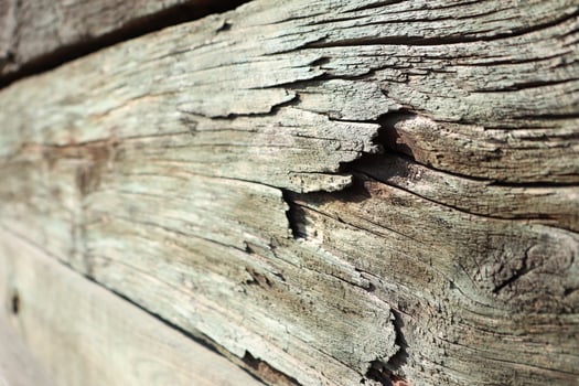 Weathered wood textures display intricate natural grain patterns that are visually appealing photo