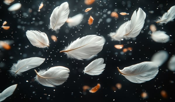 Floating white feathers in dark space. Delicate white feathers drift gracefully amidst a dark backdrop, creating a mesmerizing atmosphere of tranquility. photo