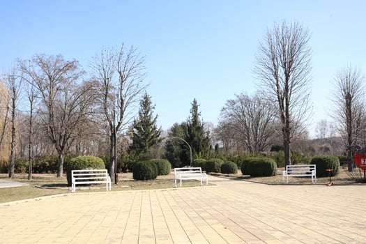A Serene Park Featuring Benches Surrounded by Beautiful Trees on a Clear and Bright Day photo