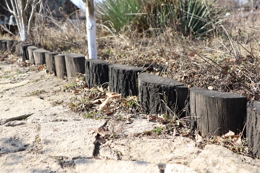 Wooden log edging delicately lines a pathway set amidst a stunning natural landscape photo