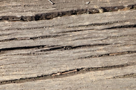 A beautifully textured wooden surface featuring natural cracks, lines, and unique patterns photo