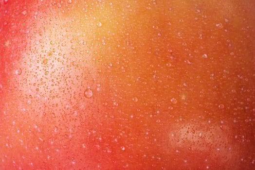 Red with yellow color apple skin macro photo as background. Texture of apple with water drops.