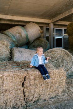 Little girl with a soft toy in her hand sits on a bale of hay at the farm photo