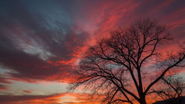 A dramatic sunset with vibrant colors silhouetting a barren tree against the sky. photo