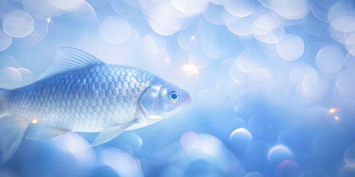 Silvery fish swimming through a dreamy blue ocean. photo