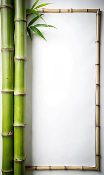 Tall bamboo stalks stand against a smooth white wall. photo