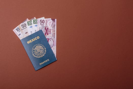 Mexican passport for travelling, flying and doing business photo