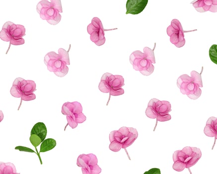 Natural Hydrangea pink purple flowers, minimal floral pattern on white background. Layout with small fresh flowers. Spring holiday concept, for Mothers day, 8 March, Womens day photo