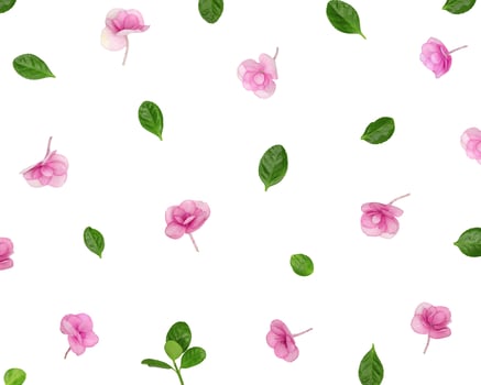 Natural Hydrangea pink purple flowers minimal floral pattern on white background. Layout with small fresh flowers. Spring holiday concept, for Mothers day, 8 March, Womens day photo