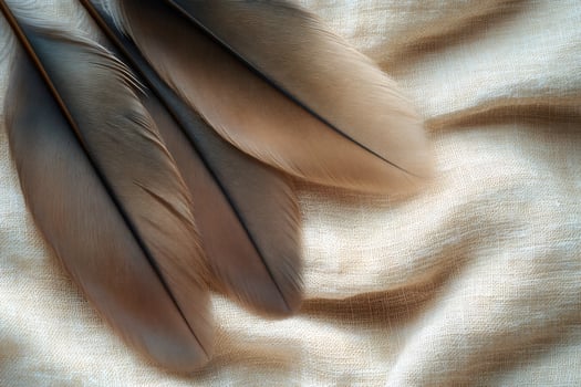 Three brown feathers resting on beige linen fabric photo