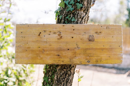 Blank wooden plaque nailed to an ivy-covered tree photo
