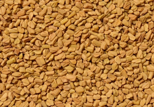 A detailed, top down close up of a dense pile of dry, light brown fenugreek seeds. photo