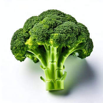 A close up of a head of broccoli photo