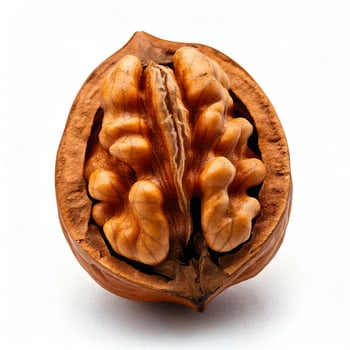 A walnut is shown on a white background photo