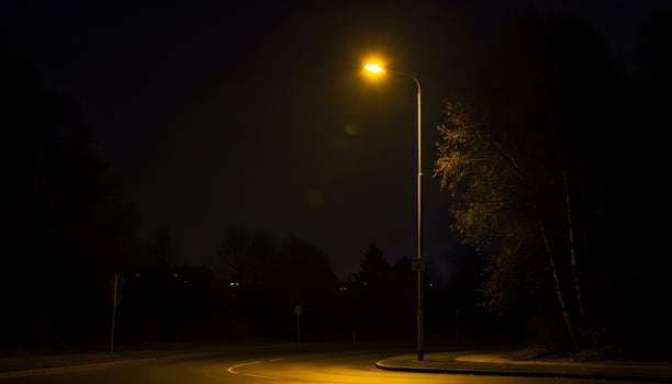 Nighttime road illuminated by warm streetlights with wet pavement trees and guardrail in serene night scene photo