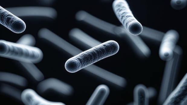 Microscopic view of rod shaped microorganisms in dark field photo