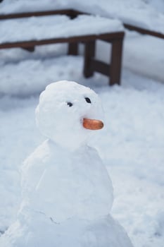 Snowman stands proudly in a winter wonderland landscape photo