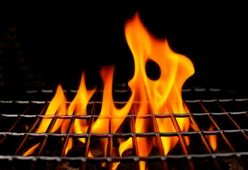 Blazing Elegance Flames in Motion photo