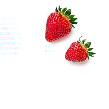 Strawberries in Minimal White Background photo