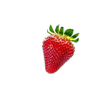 Whole Strawberry for Packaging Use photo