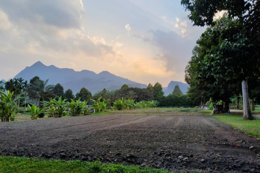Dries summer field meets a scenic mountain landscape under a blue sky dotted with clouds photo