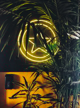 Neon peace sign shining through lush green palm leaves, dark background photo