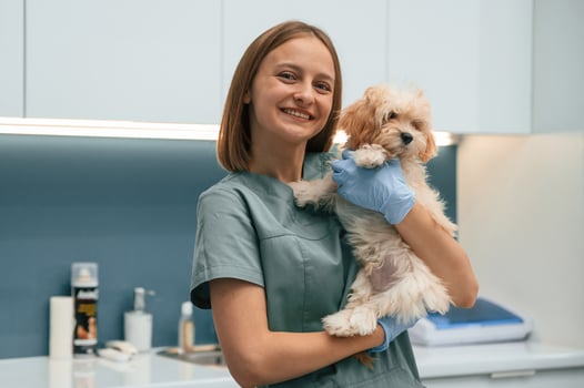 Cute little dog with woman ,veterinarian, in the clinic photo