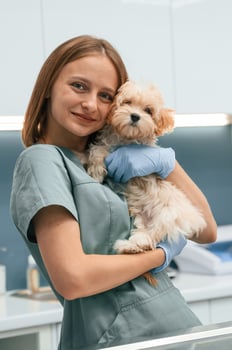 Cute, little, dog with woman veterinarian in the clinic photo