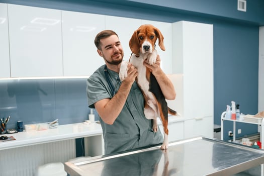 Positive man is holding, animal. Dog in veterinarian clinic with male doctor photo