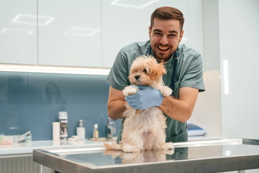 Smiling, having ,fun.. Cute little dog in veterinarian clinic with male doctor photo
