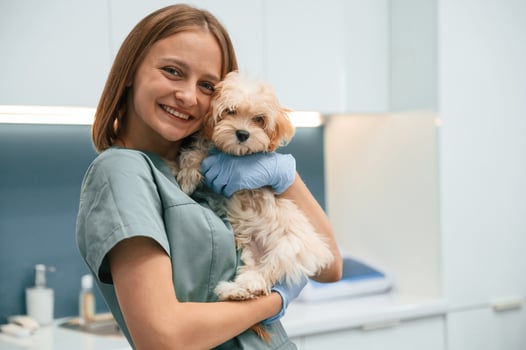 Cute ,little dog with woman veterinarian in the clinic photo