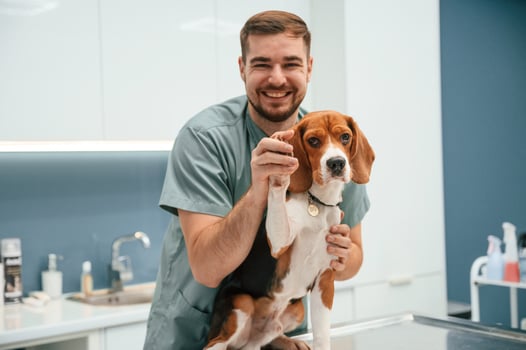 Playful mood, having, fun. Dog in veterinarian clinic with male doctor photo