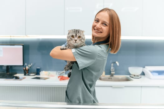 Standing, holding ,animal and smiling. Scottish fold cat in the veterinarian clinic with female doctor photo