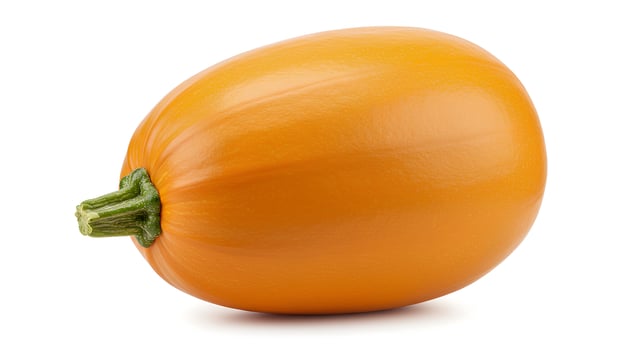 Whole butternut squash isolated on white background for healthy eating and vegan food concepts photo