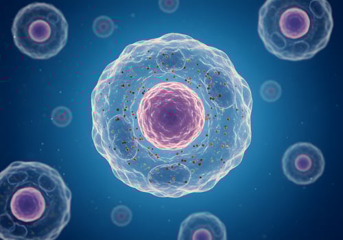 3D Render of Human Cells Biology, Science, Cellular Structure, Anatomy, Medicine, Healthcare. photo