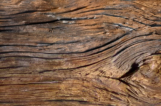 Rough weathered wood texture with deep grain lines and natural erosion photo