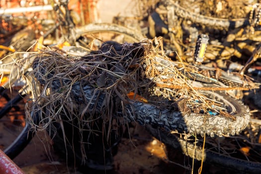 Abandoned bicycles entangled in mud and weeds photo
