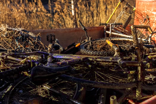 Abandoned mud-covered bicycles amongst tall grass in sunlight photo