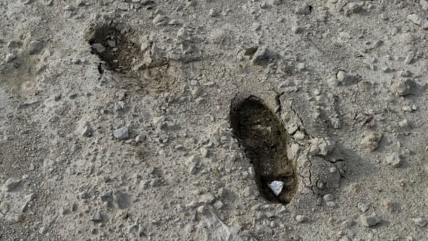 Footprints in the Dirt A detailed view reveals two distinct footprints imprinted on a textured, earthy surface, suggesting a journey or passage. photo
