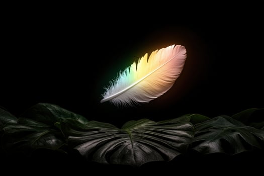 A colorful feather floats above dark green monstera leaves photo