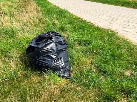 Large black garbage bag placed on green grass near a paved sidewalk, representing outdoor litter or cleanup effort in a park or urban green space during spring photo